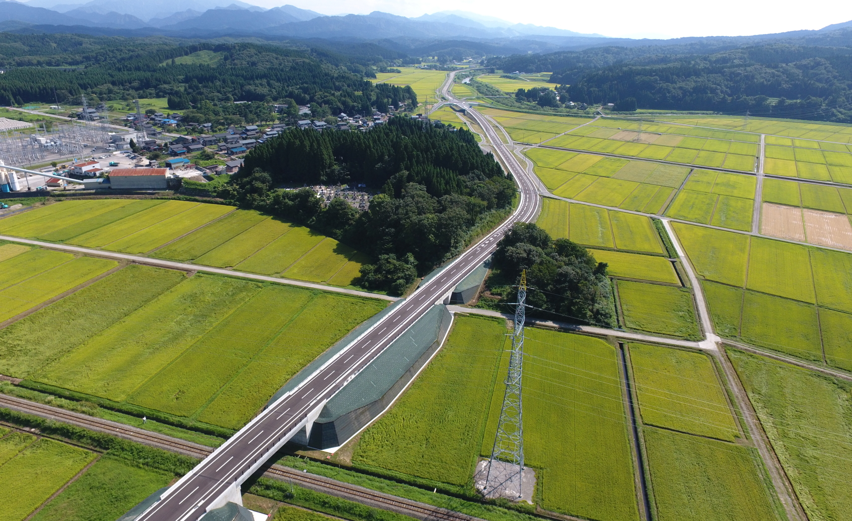 一般国道290号広域連携事業物流（国道改築）道路改良その9工事